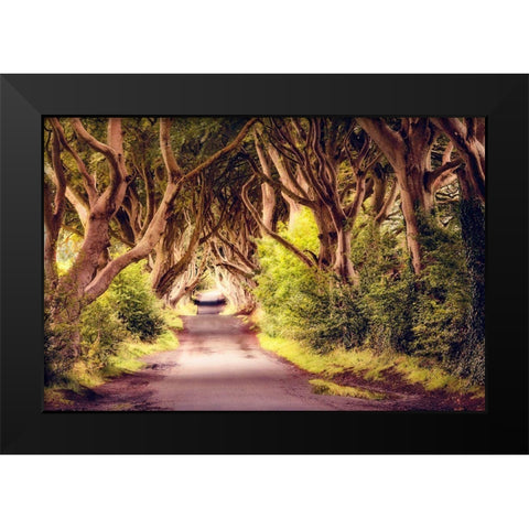 Wicked Trees Path Black Modern Wood Framed Art Print by Amos, Andy