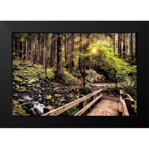 Nature Trails Black Modern Wood Framed Art Print by Amos, Andy