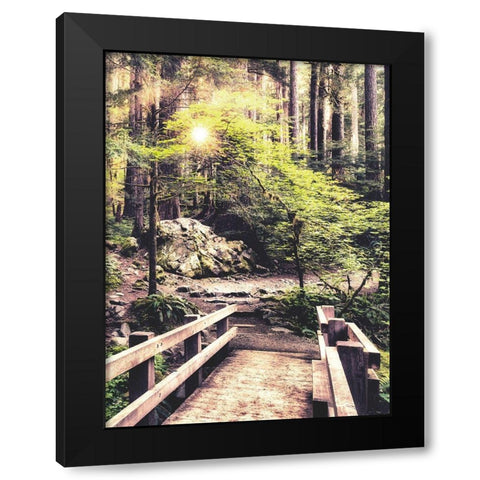 Sunlight on the Forest Path Black Modern Wood Framed Art Print by Amos, Andy