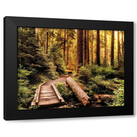 Nature Hiking Trail Black Modern Wood Framed Art Print with Double Matting by Amos, Andy
