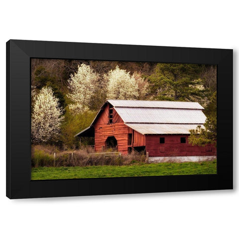 Skylight Red Barn Black Modern Wood Framed Art Print by Amos, Andy