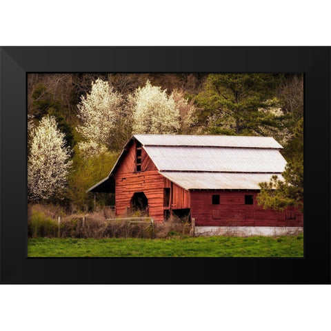Skylight Red Barn Black Modern Wood Framed Art Print by Amos, Andy