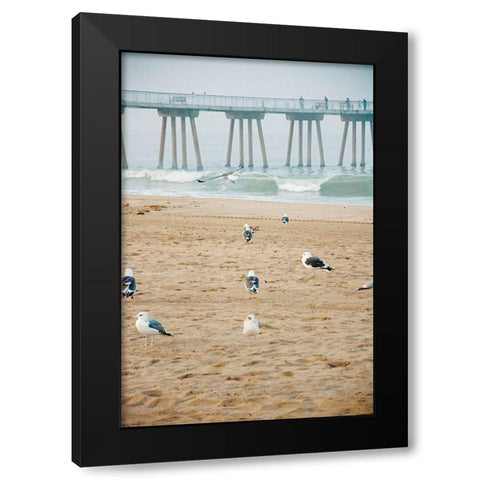 Seagull Coast Black Modern Wood Framed Art Print with Double Matting by Bill Carson Photography