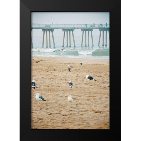 Seagull Coast Black Modern Wood Framed Art Print by Bill Carson Photography