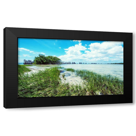 Tropical Coastline Black Modern Wood Framed Art Print by Bill Carson Photography