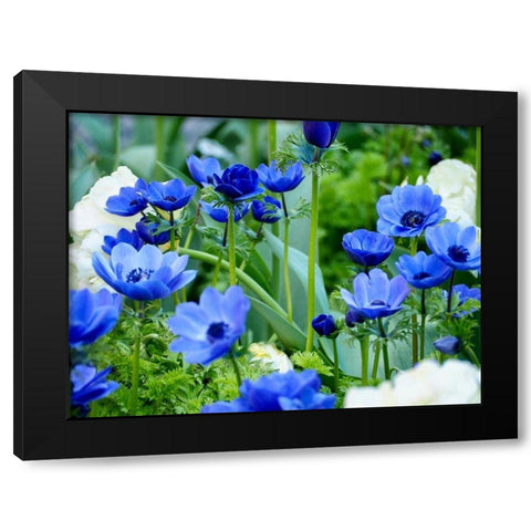 Vibrant Blue Hues Black Modern Wood Framed Art Print with Double Matting by Peck, Gail