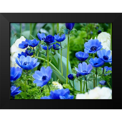 Vibrant Blue Hues Black Modern Wood Framed Art Print by Peck, Gail