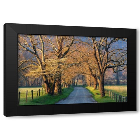 Sunset Path Black Modern Wood Framed Art Print with Double Matting by Jimmyz