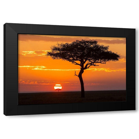 African Sunset II Black Modern Wood Framed Art Print by Jimmyz