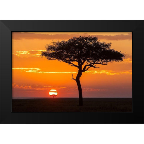 African Sunset II Black Modern Wood Framed Art Print by Jimmyz