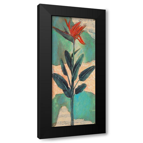 Bird Of Paradise Black Modern Wood Framed Art Print by Pattinian, Merri