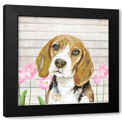 Beagle With Flowers Black Modern Wood Framed Art Print with Double Matting by Pinto, Patricia