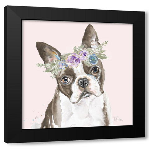 Flower Crown Pet III Black Modern Wood Framed Art Print by Pinto, Patricia