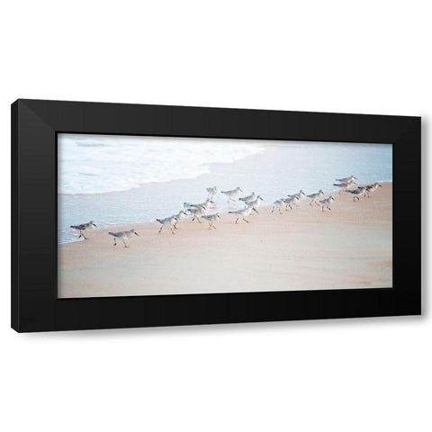 Coastal March Black Modern Wood Framed Art Print with Double Matting by Nawrocke, Bruce