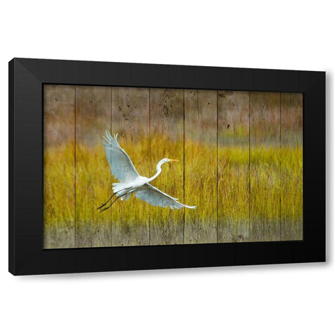 Golden Hour Black Modern Wood Framed Art Print with Double Matting by Mansfield, Kathy