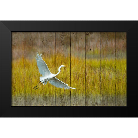 Golden Hour Black Modern Wood Framed Art Print by Mansfield, Kathy