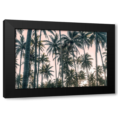 Palms View on Pink Sky I Black Modern Wood Framed Art Print with Double Matting by Amos, Andy