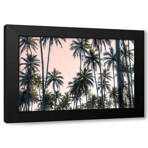 Palms View on Pink Sky II Black Modern Wood Framed Art Print with Double Matting by Amos, Andy