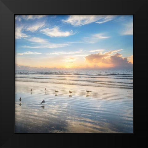 Morning Beauty Black Modern Wood Framed Art Print by Amos, Andy