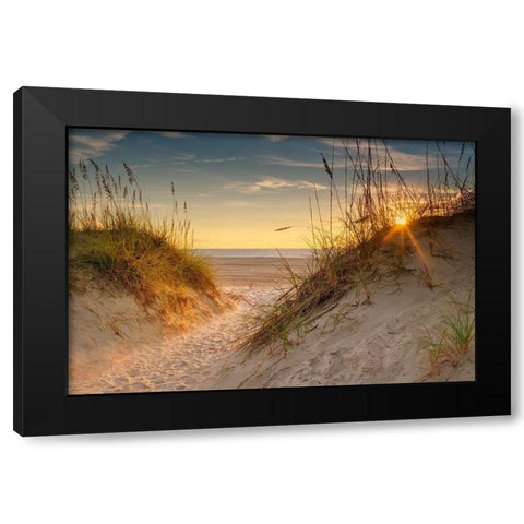 Coastal Dunes Black Modern Wood Framed Art Print by Amos, Andy