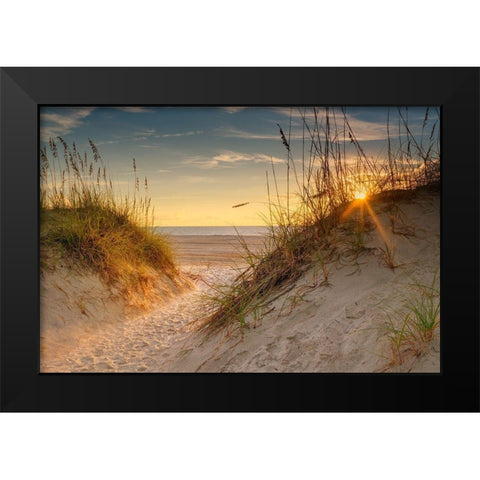 Coastal Dunes Black Modern Wood Framed Art Print by Amos, Andy