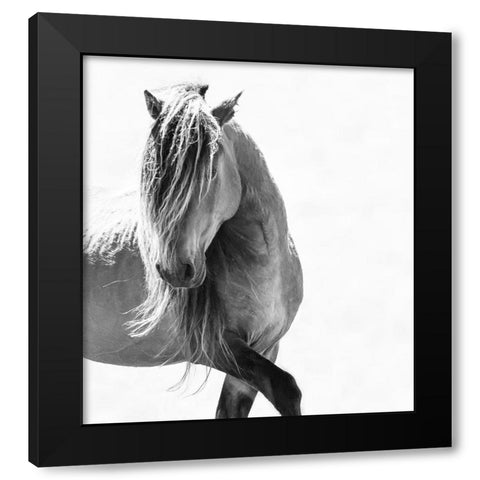 BW Stunning Stallion Black Modern Wood Framed Art Print by Walker, Carol