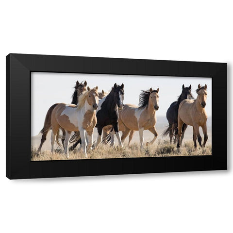 Horses in the Wild Black Modern Wood Framed Art Print with Double Matting by Walker, Carol