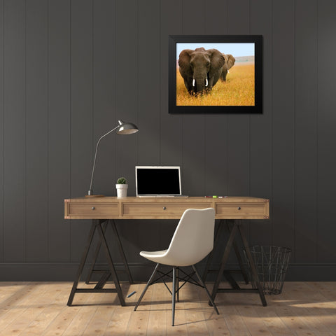 Elephant Plains Black Modern Wood Framed Art Print by Mansfield, Kathy