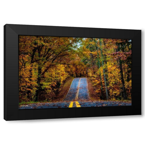 Woodland Road I Black Modern Wood Framed Art Print by Amos, Andy