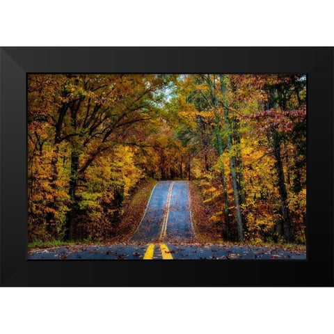 Woodland Road I Black Modern Wood Framed Art Print by Amos, Andy