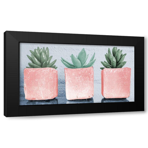 Pink Potted Succulents Black Modern Wood Framed Art Print by Bill Carson Photography