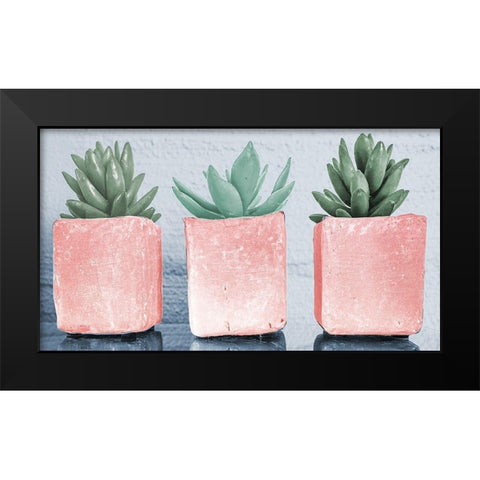 Pink Potted Succulents Black Modern Wood Framed Art Print by Bill Carson Photography