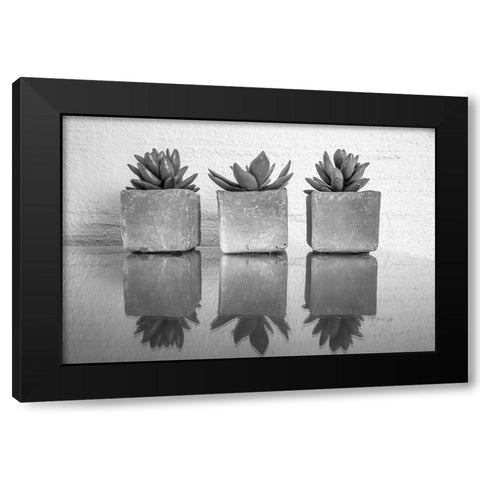 Potted Succulent Black Modern Wood Framed Art Print with Double Matting by Bill Carson Photography