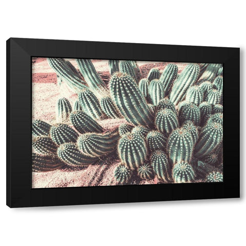 Cactus Muted Burst Black Modern Wood Framed Art Print with Double Matting by Bill Carson Photography