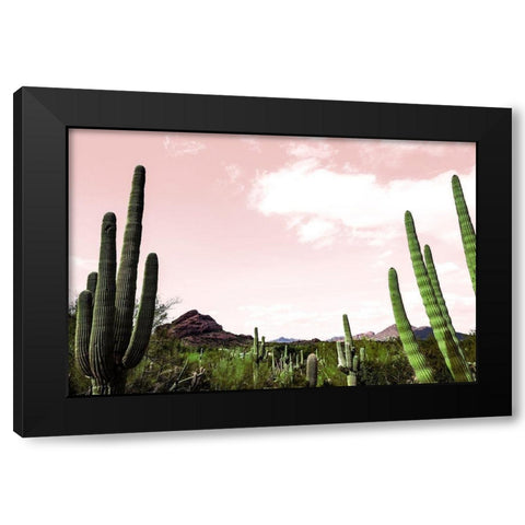 Cactus Landscape Under Pink Sky Black Modern Wood Framed Art Print with Double Matting by Bill Carson Photography