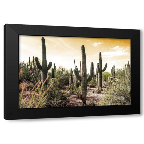 Cactus Field Under Golden Skies Black Modern Wood Framed Art Print with Double Matting by Bill Carson Photography