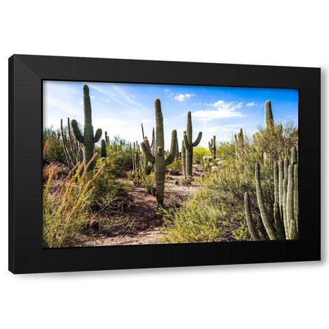 Into the Desert Black Modern Wood Framed Art Print by Bill Carson Photography