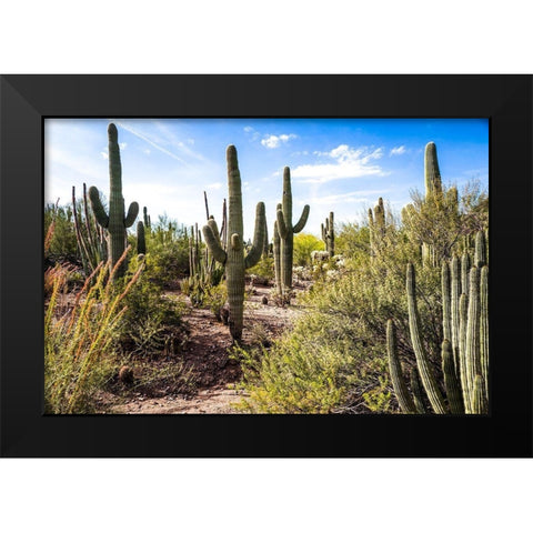 Into the Desert Black Modern Wood Framed Art Print by Bill Carson Photography