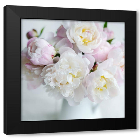 Soft Petal Lane Black Modern Wood Framed Art Print with Double Matting by Gardner, Sarah
