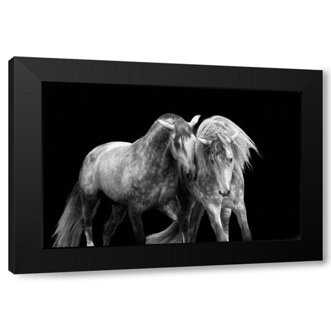 Two Friends Black Modern Wood Framed Art Print with Double Matting by Walker, Carol