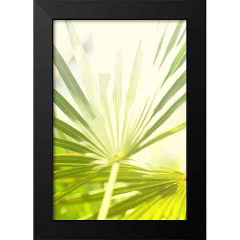 Among Palms I Black Modern Wood Framed Art Print by Bryant, Susan