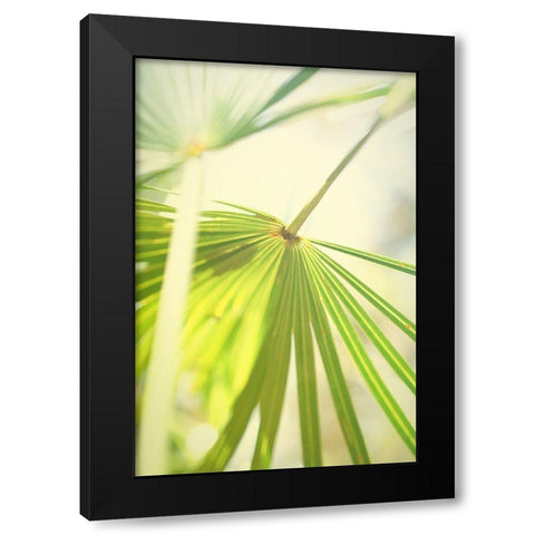 Among Palms II Black Modern Wood Framed Art Print by Bryant, Susan