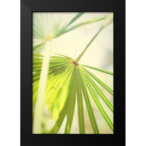 Among Palms II Black Modern Wood Framed Art Print by Bryant, Susan