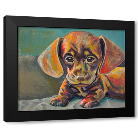 Puppy Face Black Modern Wood Framed Art Print by Beauchamp, Andy