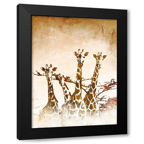 Safari Giraffe II Black Modern Wood Framed Art Print with Double Matting by Meneely, Dan