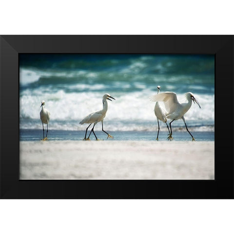 Egret Walk Black Modern Wood Framed Art Print by Nawrocke, Bruce