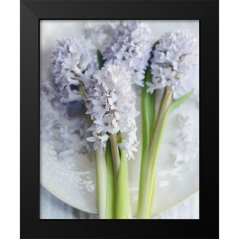 My Quiet Beauty Black Modern Wood Framed Art Print by Gardner, Sarah
