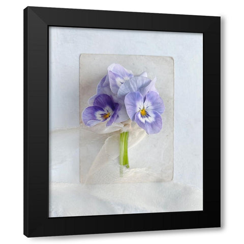 A Little Beauty Black Modern Wood Framed Art Print by Gardner, Sarah