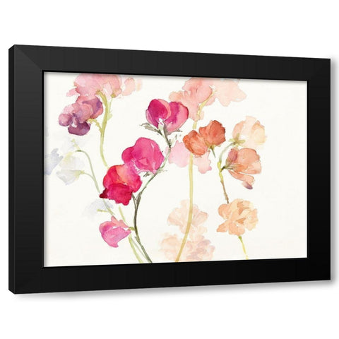 Swaying Sweet Peas Black Modern Wood Framed Art Print with Double Matting by Loreth, Lanie