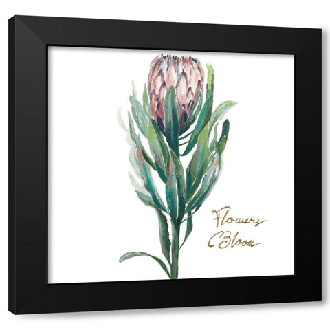 Protea II Black Modern Wood Framed Art Print with Double Matting by Pinto, Patricia